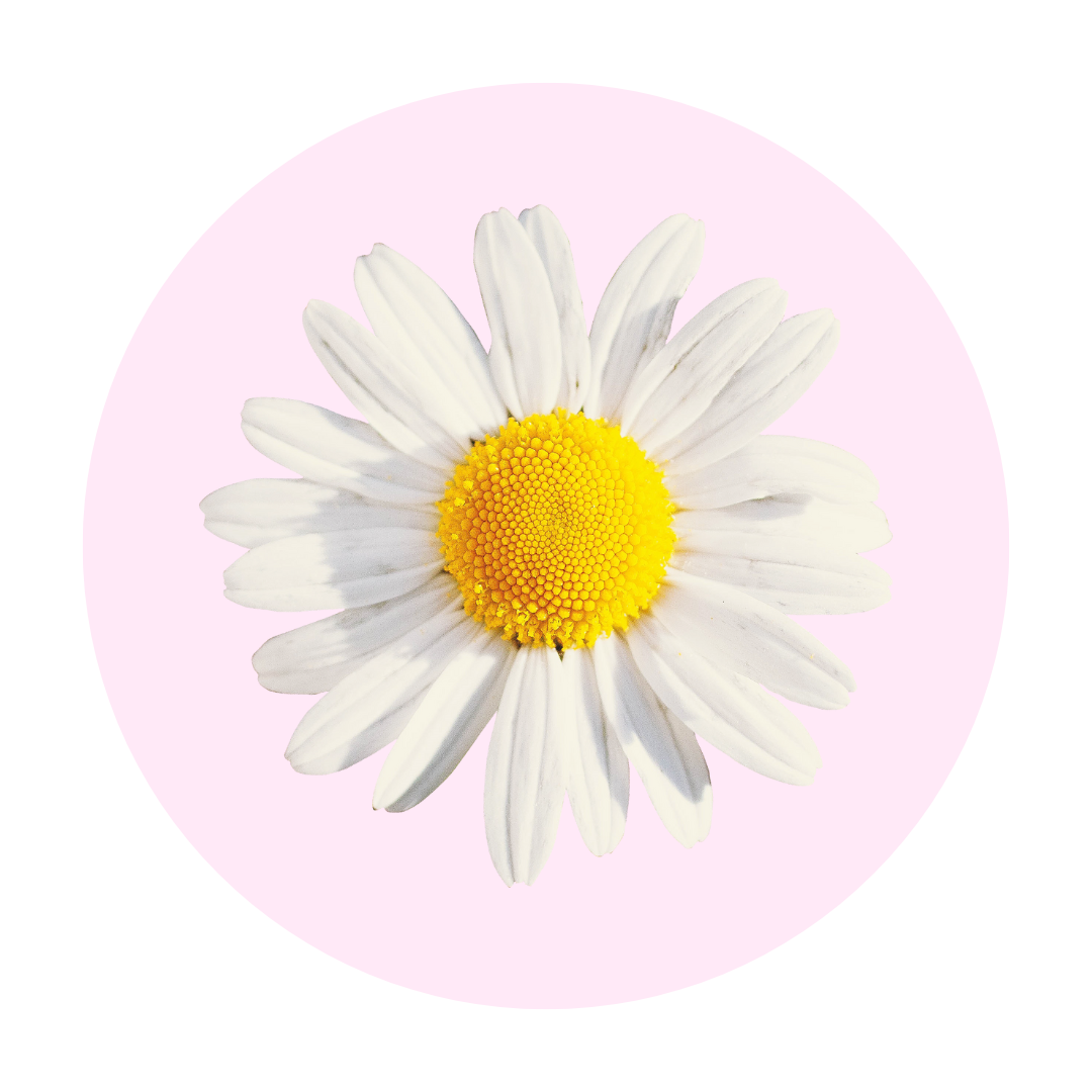 Manibel